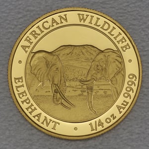 Goldmünze 1/4oz "Elefant" 2020 African Wildlife (Somalia) - Hauptansicht