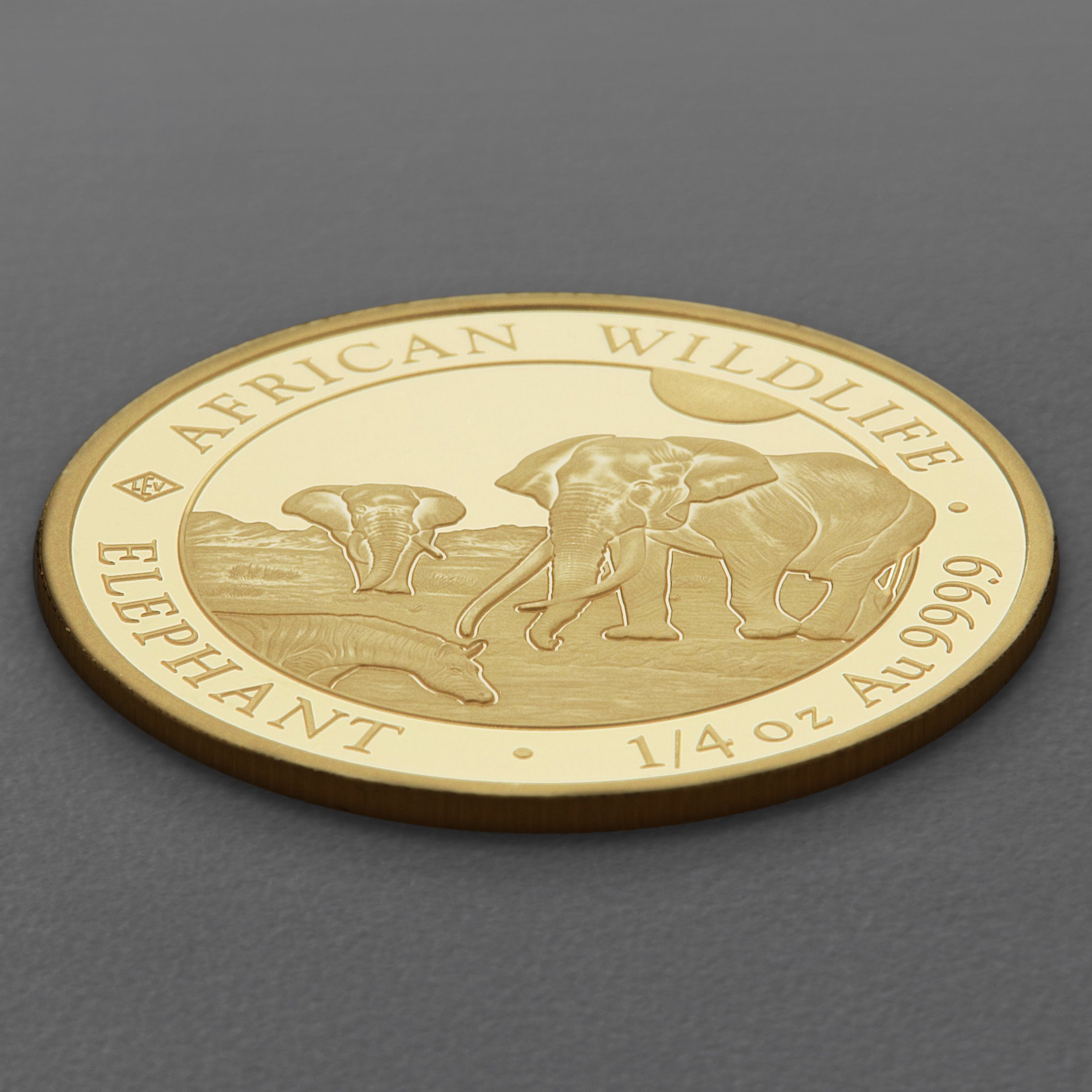 Goldmünze 1/4oz "Elefant" 2026 African Wildlife (Somalia) - Detailansicht 2