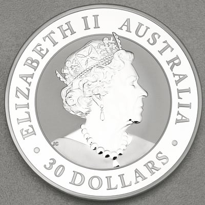 Silbermünze 1kg "Kookaburra" 2021 (Australien) - Miniaturansicht 2