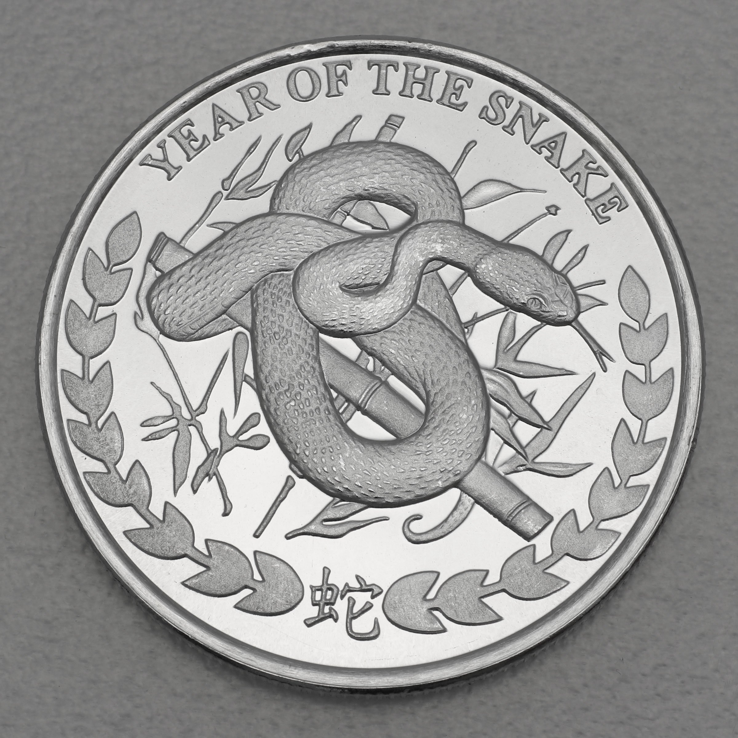 Silbermünze 1oz "Schlange" 2013 Somaliland Lunar – Year of the Snake (Somalia) - Hauptansicht