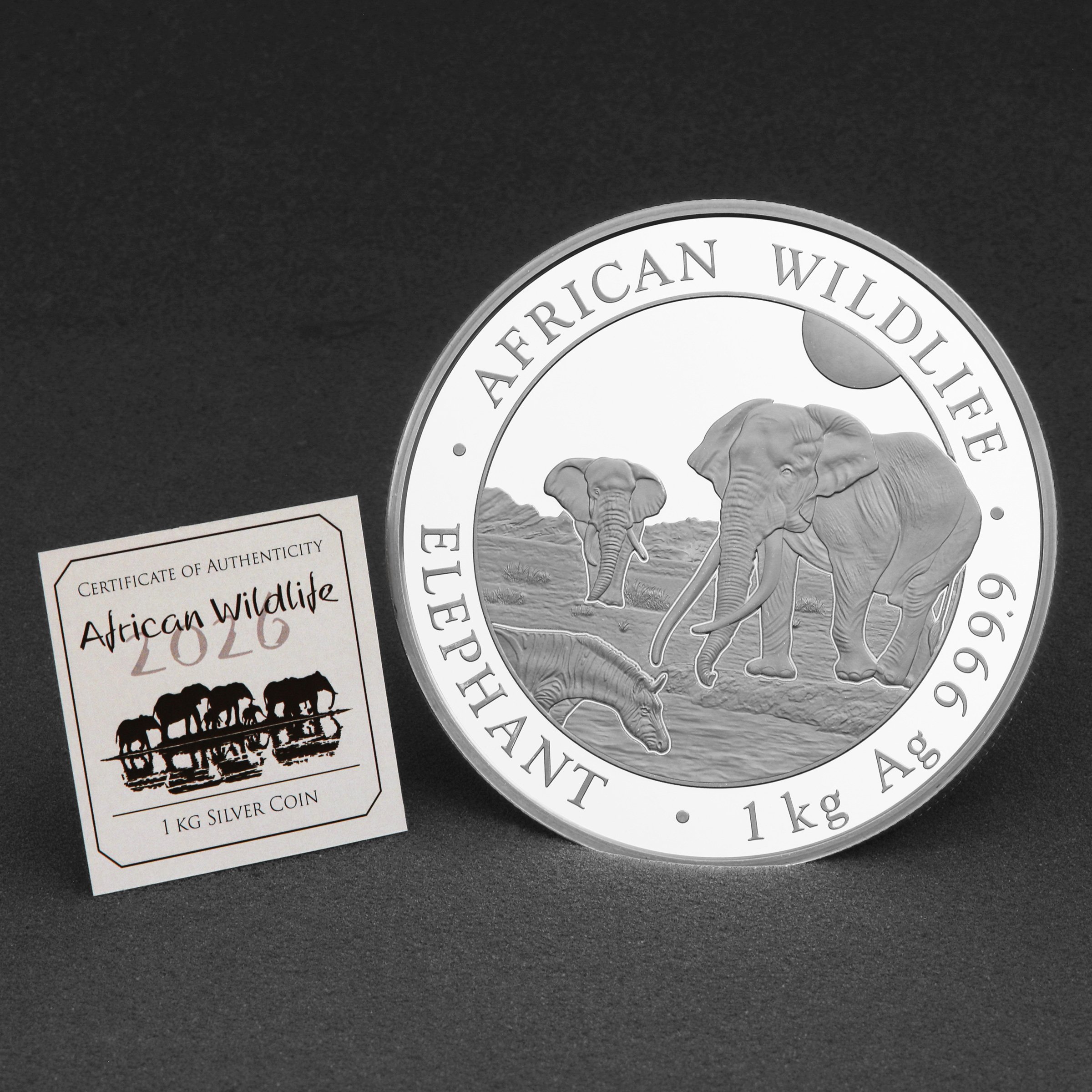 Silbermünze 1kg "Elefant" 2026 African Wildlife 19% (Somalia) - Detailansicht 4