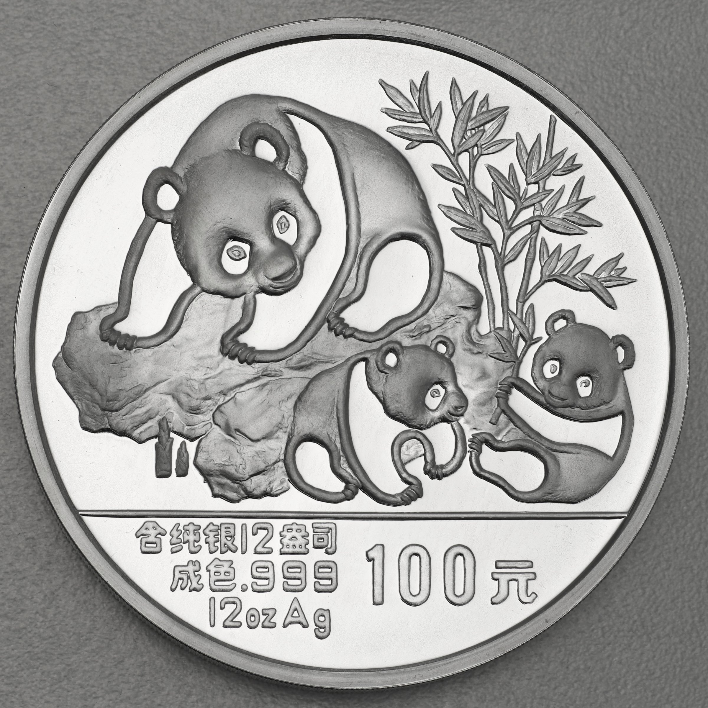 Silbermünze 12oz "Panda" 1989 (China) - Hauptansicht