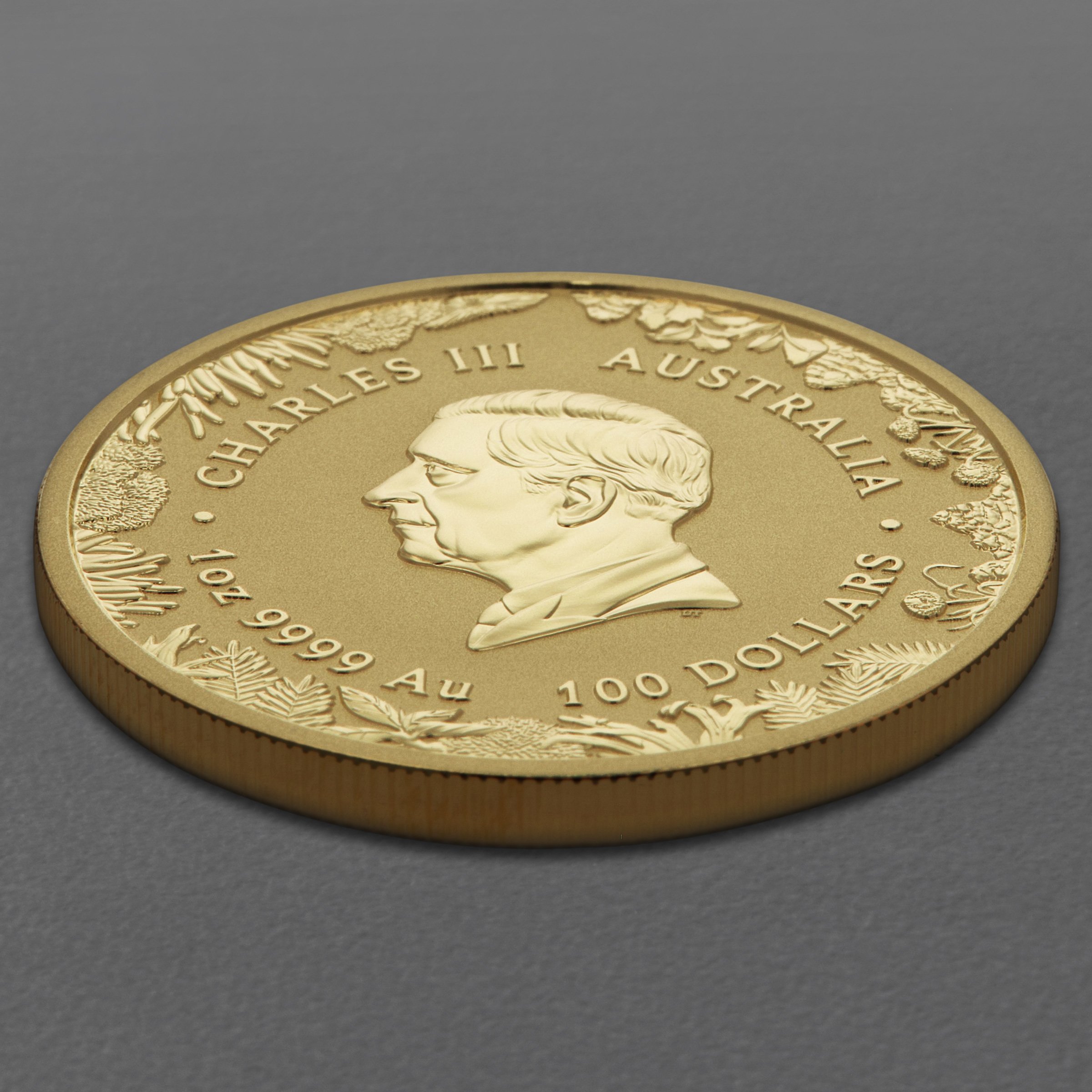 Goldmünze 1oz "The Outback" 2026 Wonders of Australia (Australien) - Detailansicht 3