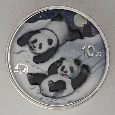 Silbermünzen 2 x 30g "Panda" 2022 (koloriert) Set – 2-teilig Night & Day (China) - Miniaturansicht 3