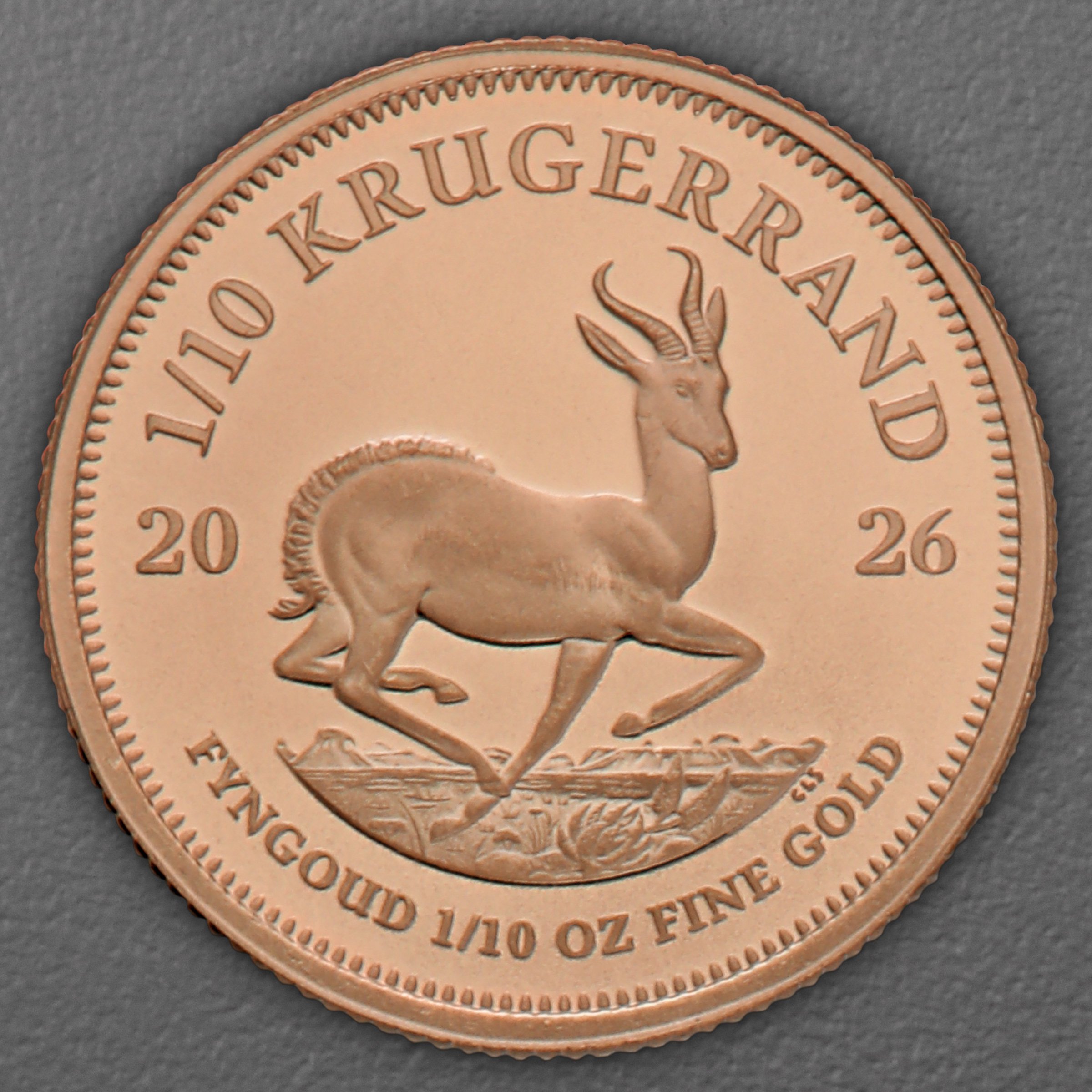 Goldmünze 1/10oz "Krügerrand" aktueller Jahrgang (Südafrika) - Hauptansicht