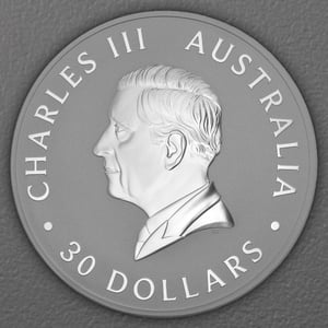 Silbermünze 1kg "Koala" 2026 (Australien) - Miniaturansicht 2