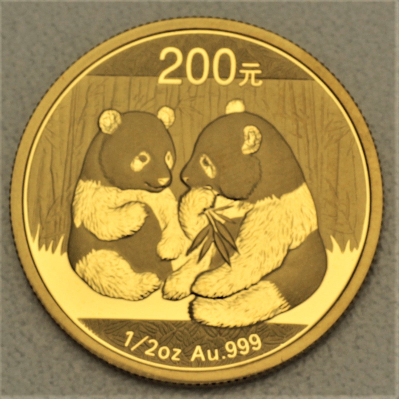Goldmünze 1/2oz "Panda" 2009 (China) - Hauptansicht