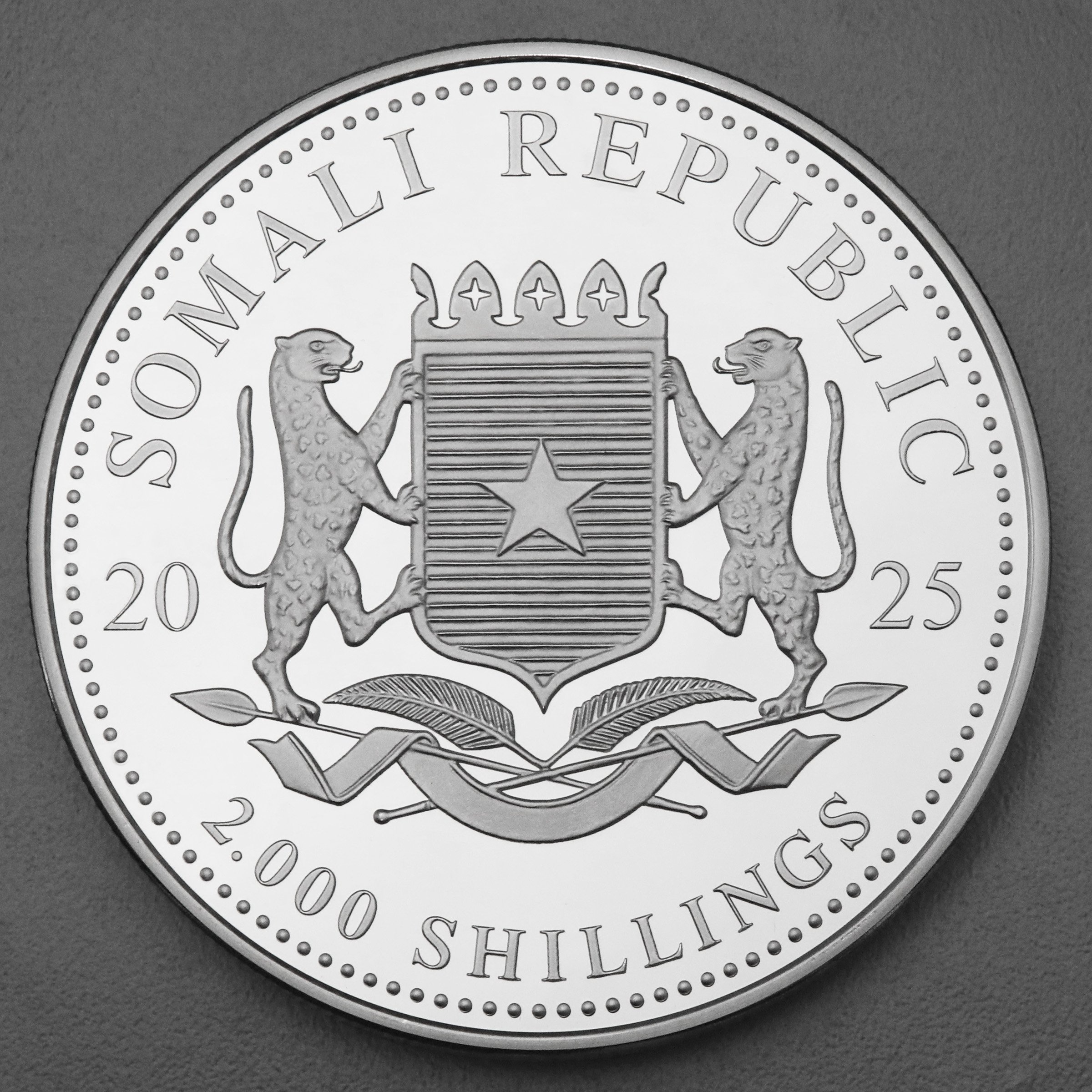 Silbermünze 1kg "Elefant" 2025 African Wildlife diff. (Somalia) - Detailansicht 1