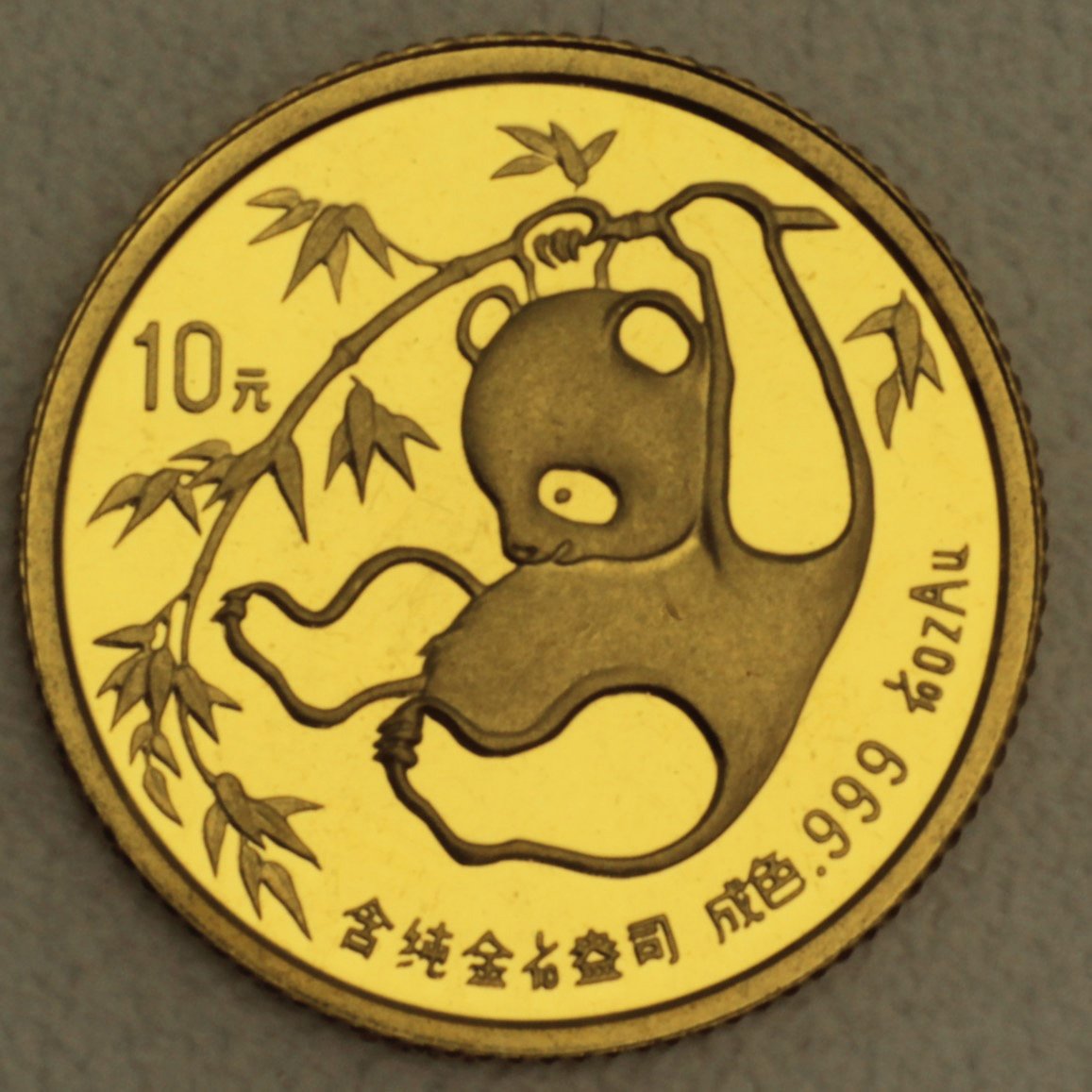 Goldmünze 1/10oz "Panda" 1985 (China) - Hauptansicht