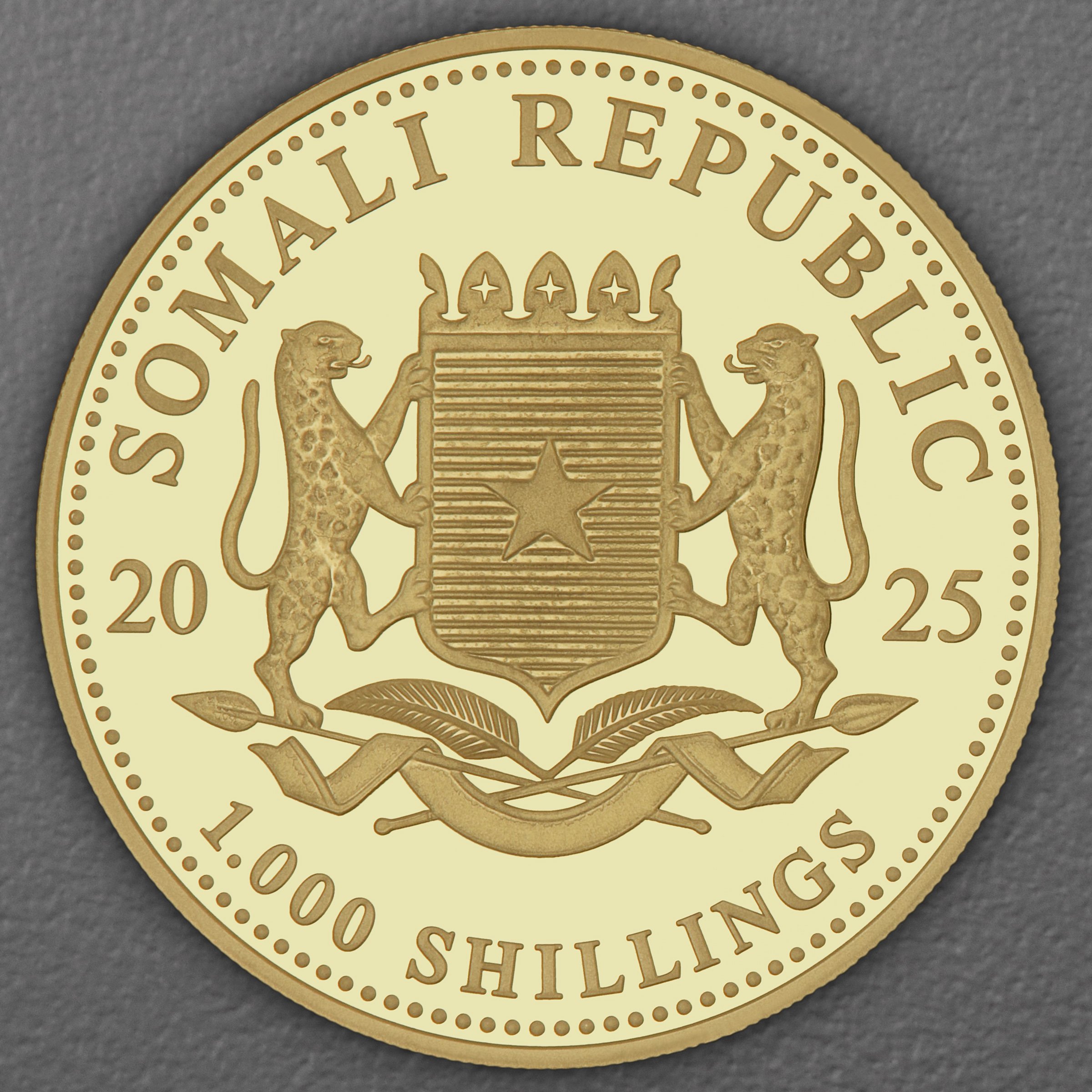 Goldmünze 1oz "Leopard" 2025 African Wildlife (Somalia) - Detailansicht 1