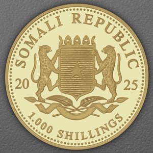 Goldmünze 1oz "Leopard" 2025 African Wildlife (Somalia) - Miniaturansicht 2