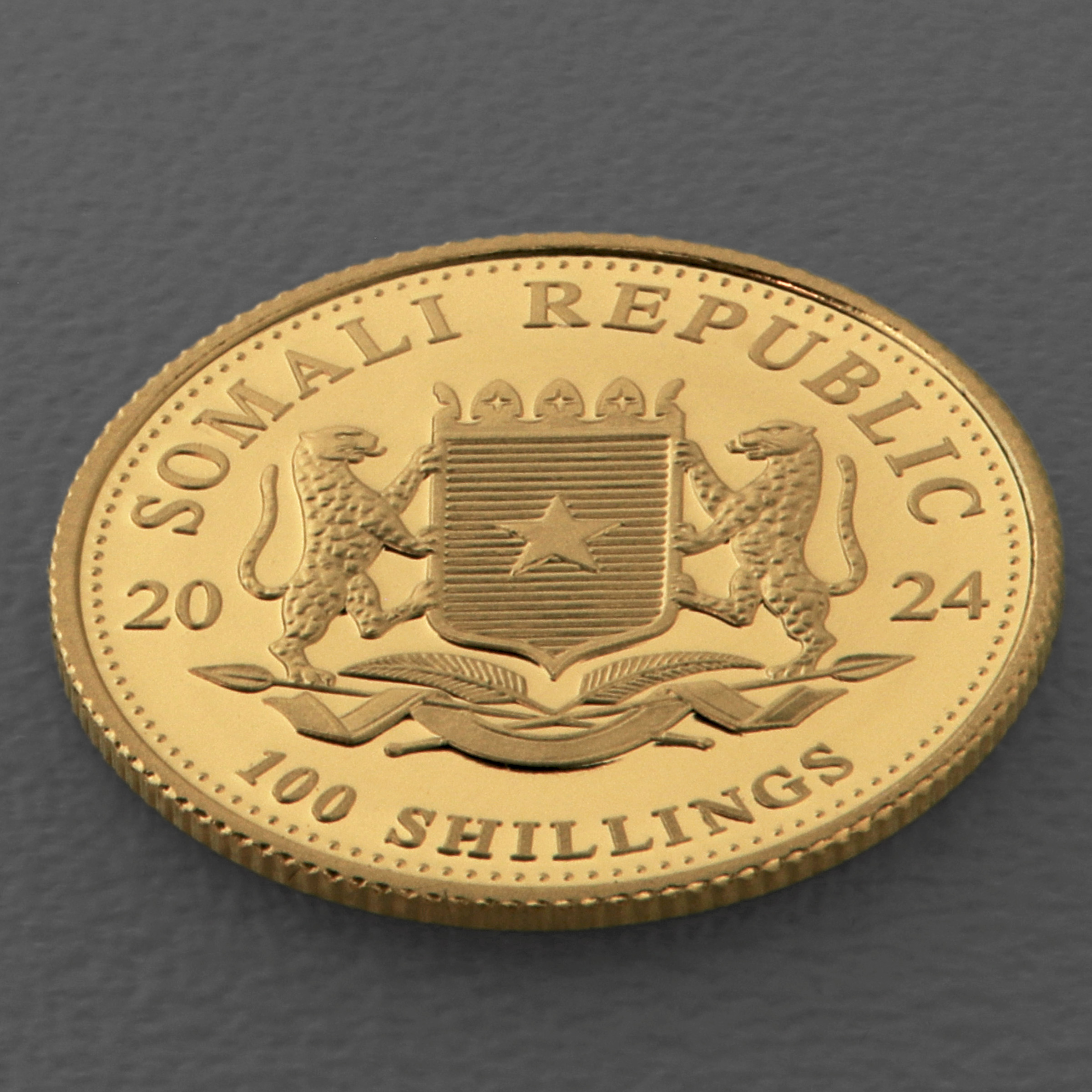 Goldmünze 1/10oz "Elefant" 2024 African Wildlife (Somalia) - Detailansicht 3