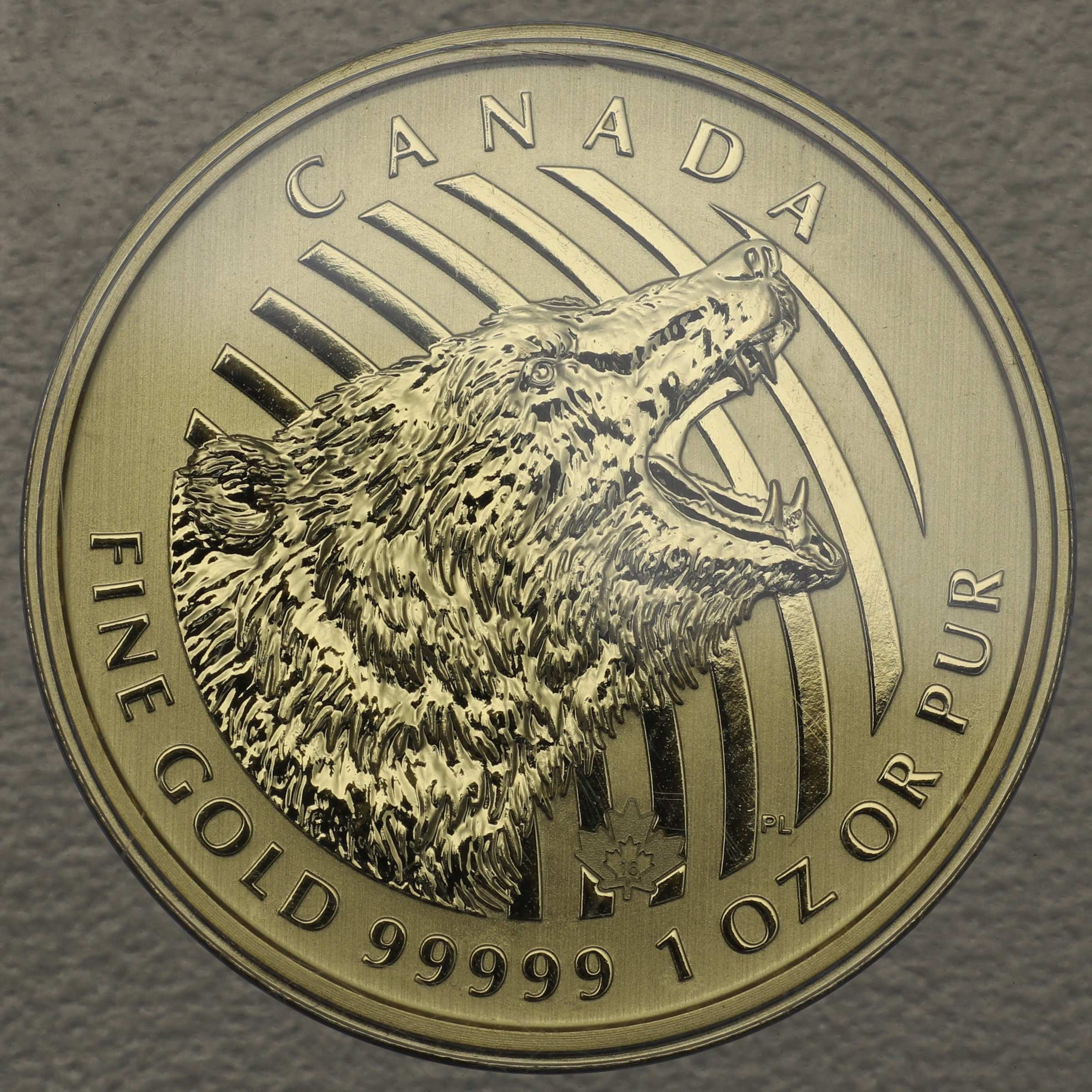 Goldmünze 1oz "Roaring Grizzly" 2016 Call of the wild (Kanada) - Hauptansicht