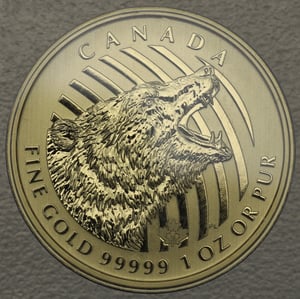 Goldmünze 1oz "Roaring Grizzly" 2016 Call of the wild (Kanada) - Hauptansicht