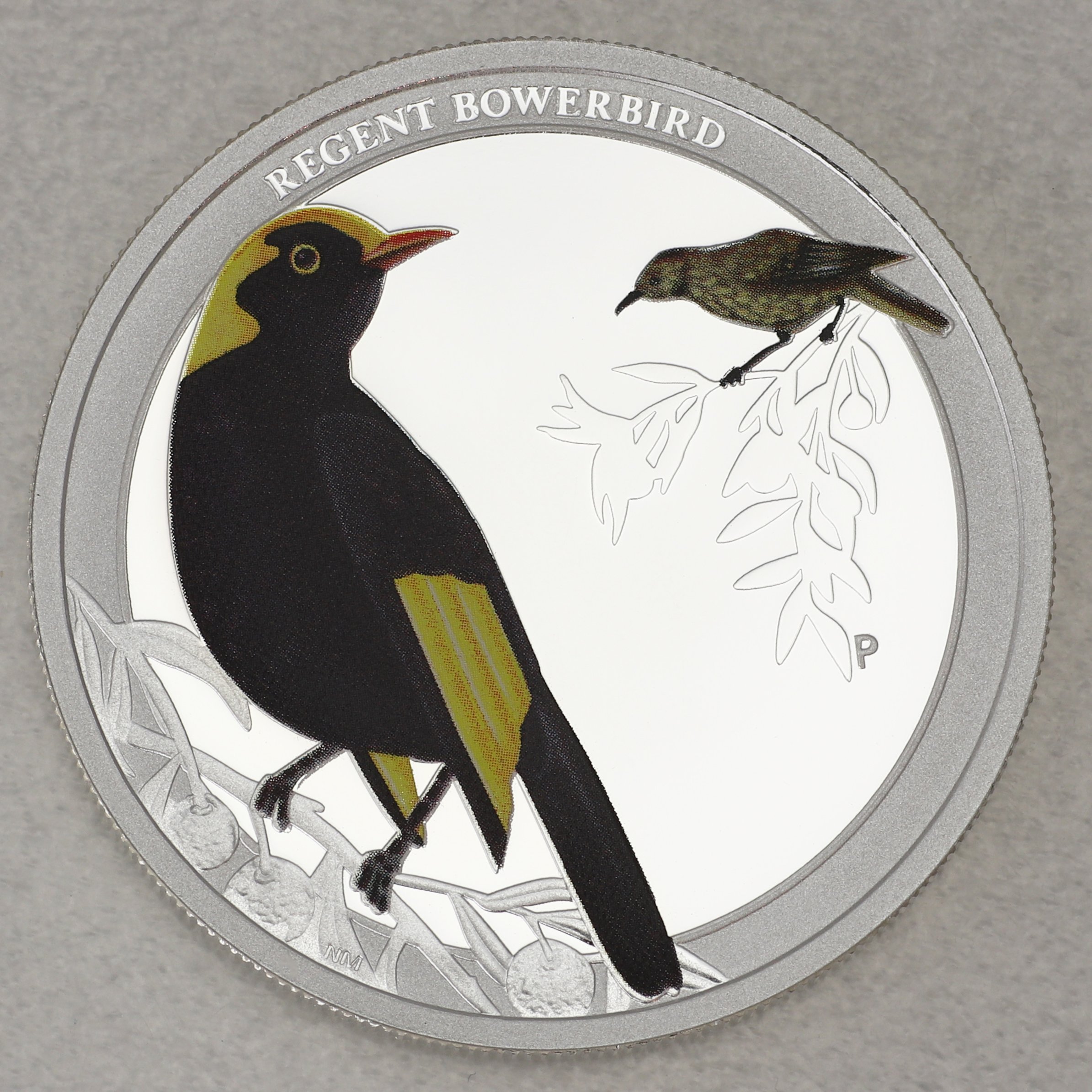 Silbermünze 1/2oz "Regent Bowerbird 2013" (PP) Birds of Australia - Hauptansicht