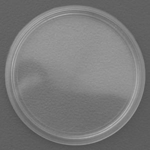 Münzkapseln 39mm 10er-Packung - Miniaturansicht 2