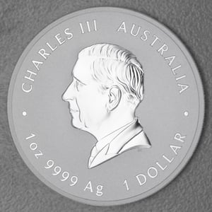 Silbermünze 1oz "Schlange" 2025 Lunar III – Year of the Snake 19% (Australien) - Miniaturansicht 2