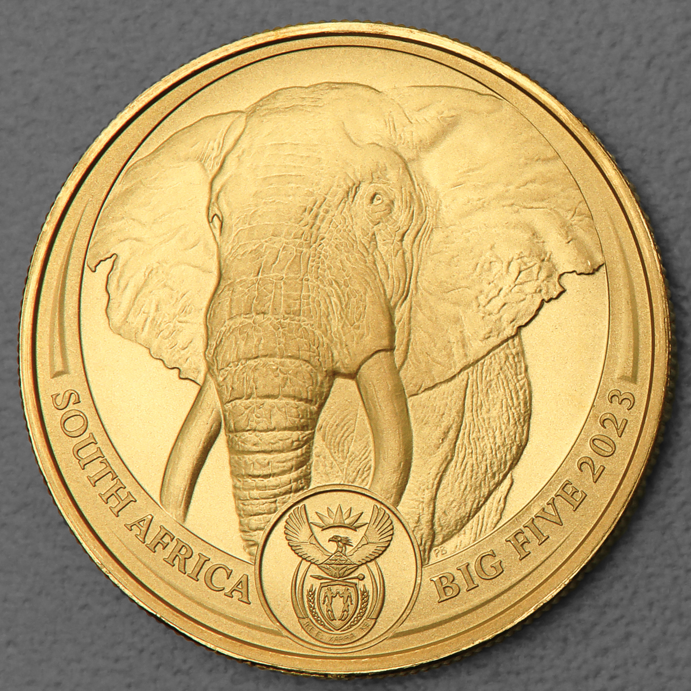 Goldmünze 1oz "Elefant" 2023 Big Five II (Südafrika) - Hauptansicht