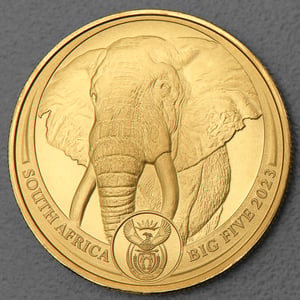 Goldmünze 1oz "Elefant" 2023 Big Five II (Südafrika) - Hauptansicht