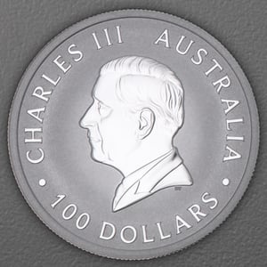Platinmünze 1oz "Känguru" 19% (Australien) - Miniaturansicht 2