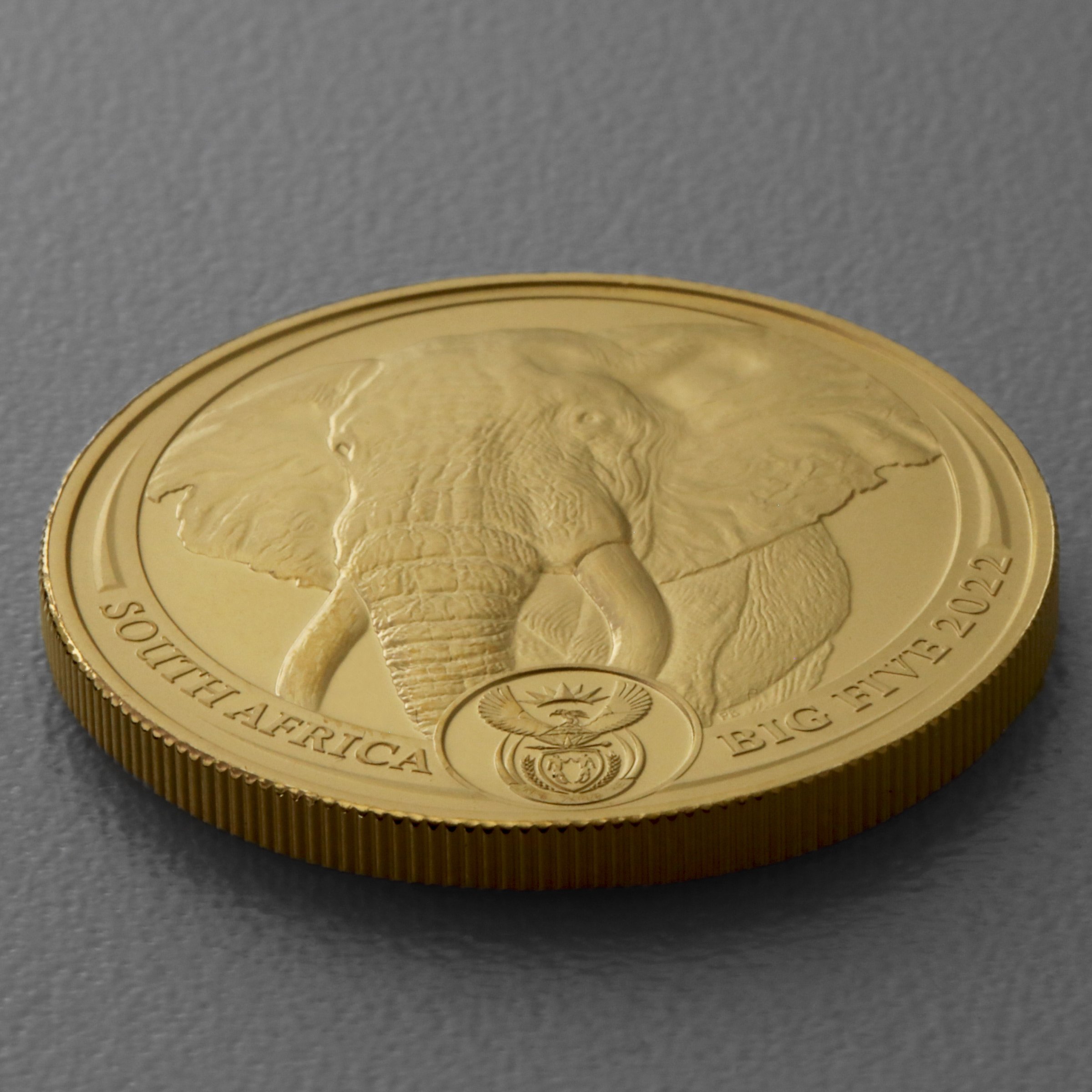 Goldmünze 1oz "Elefant" 2022 Big Five II (Südafrika) - Detailansicht 2