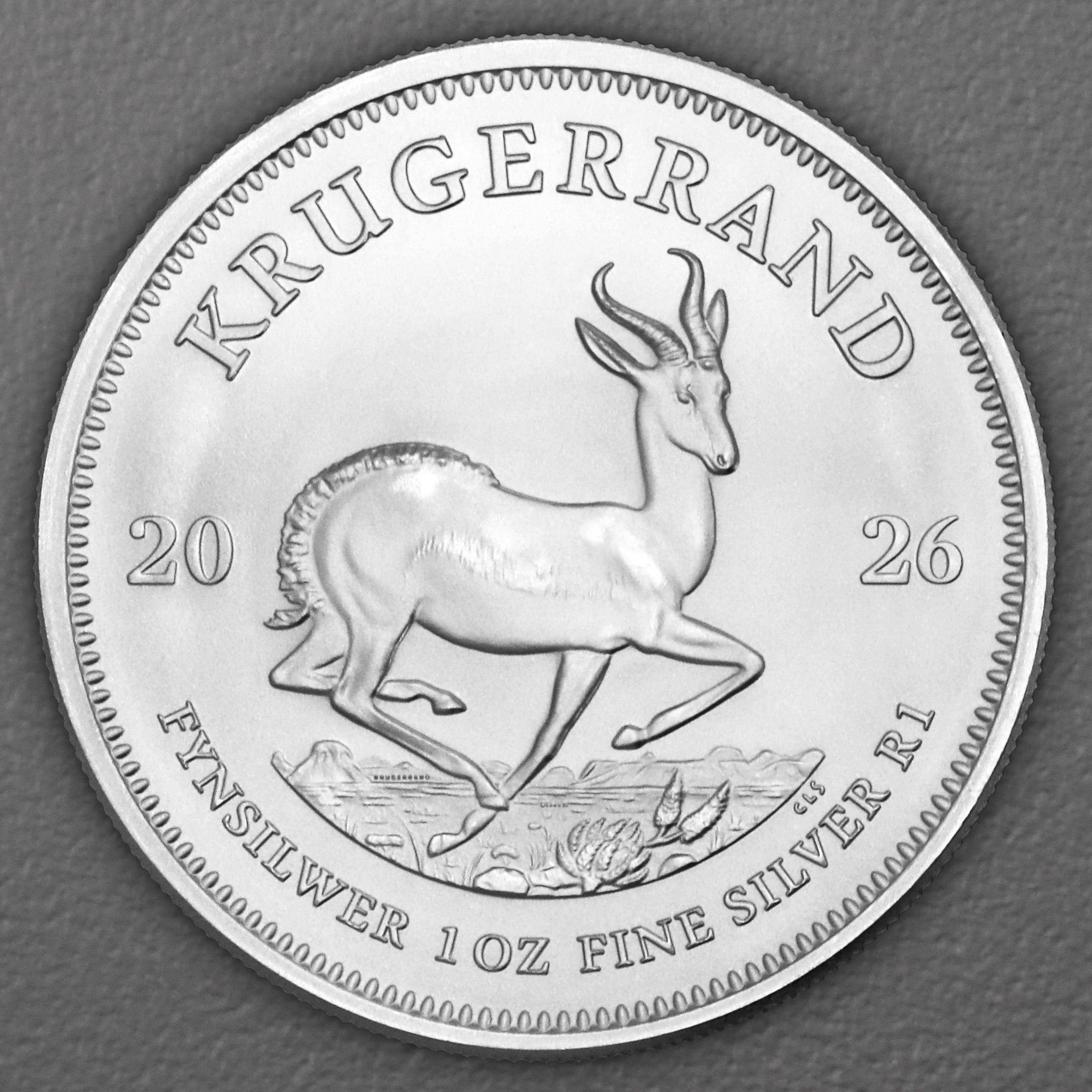Silbermünze 500 x 1oz "Krügerrand" aktueller Jahrgang Masterbox (Südafrika) - Detailansicht 2