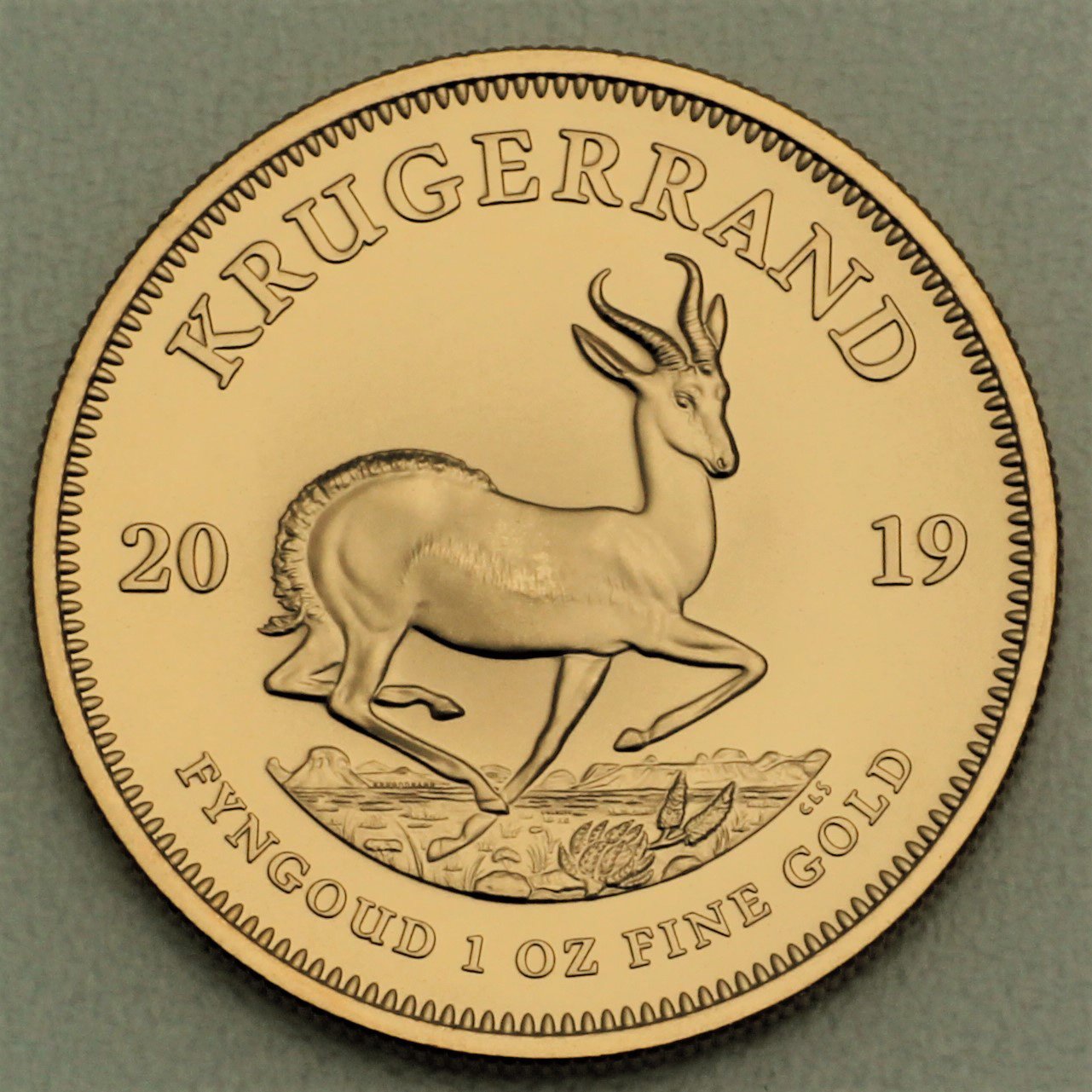 Goldmünze 1oz "Krügerrand" 2019 (Südafrika) - Hauptansicht
