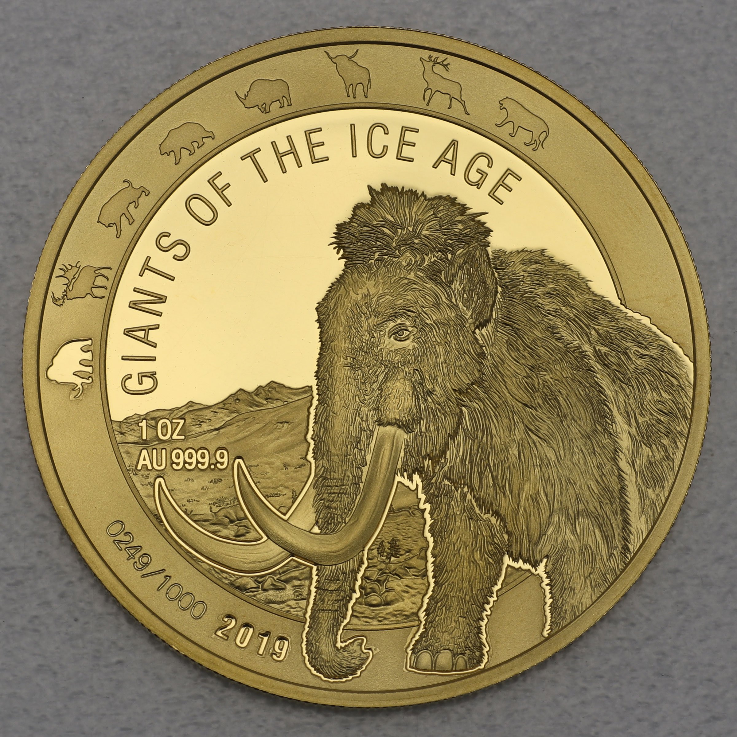 Goldmünze 1oz "Wollmammut" 2019 Giants of Ice Age (Ghana) - Hauptansicht