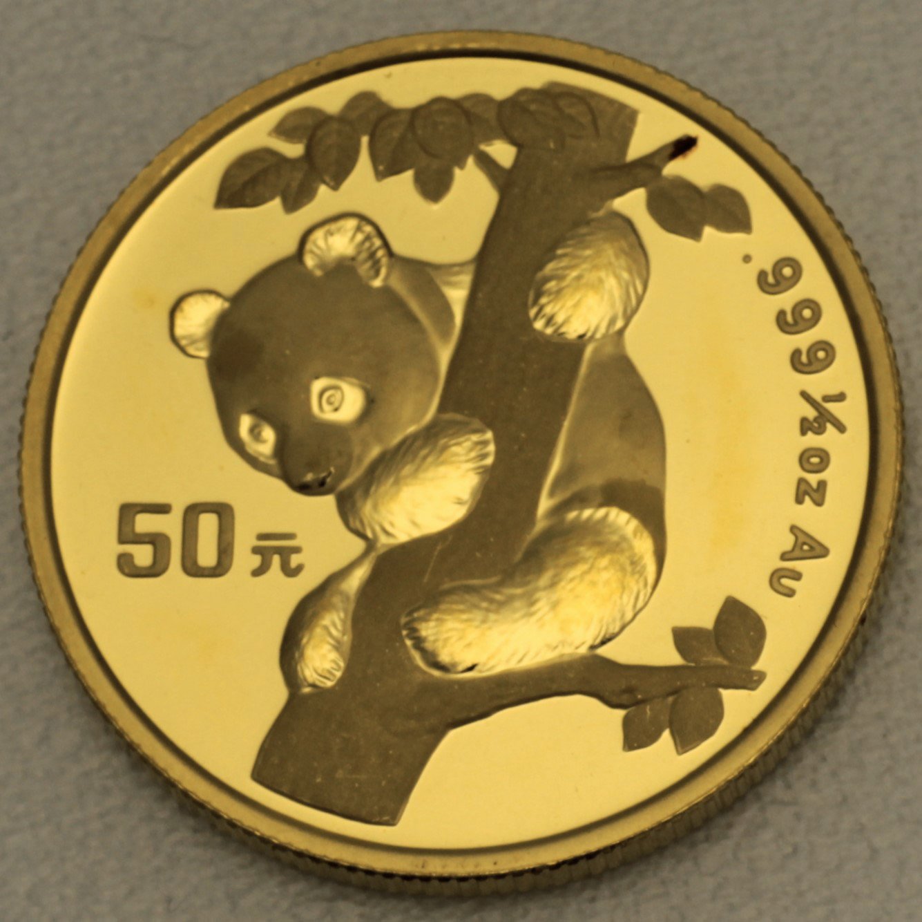 Goldmünze 1/2oz "Panda" 1996 (China) - Hauptansicht