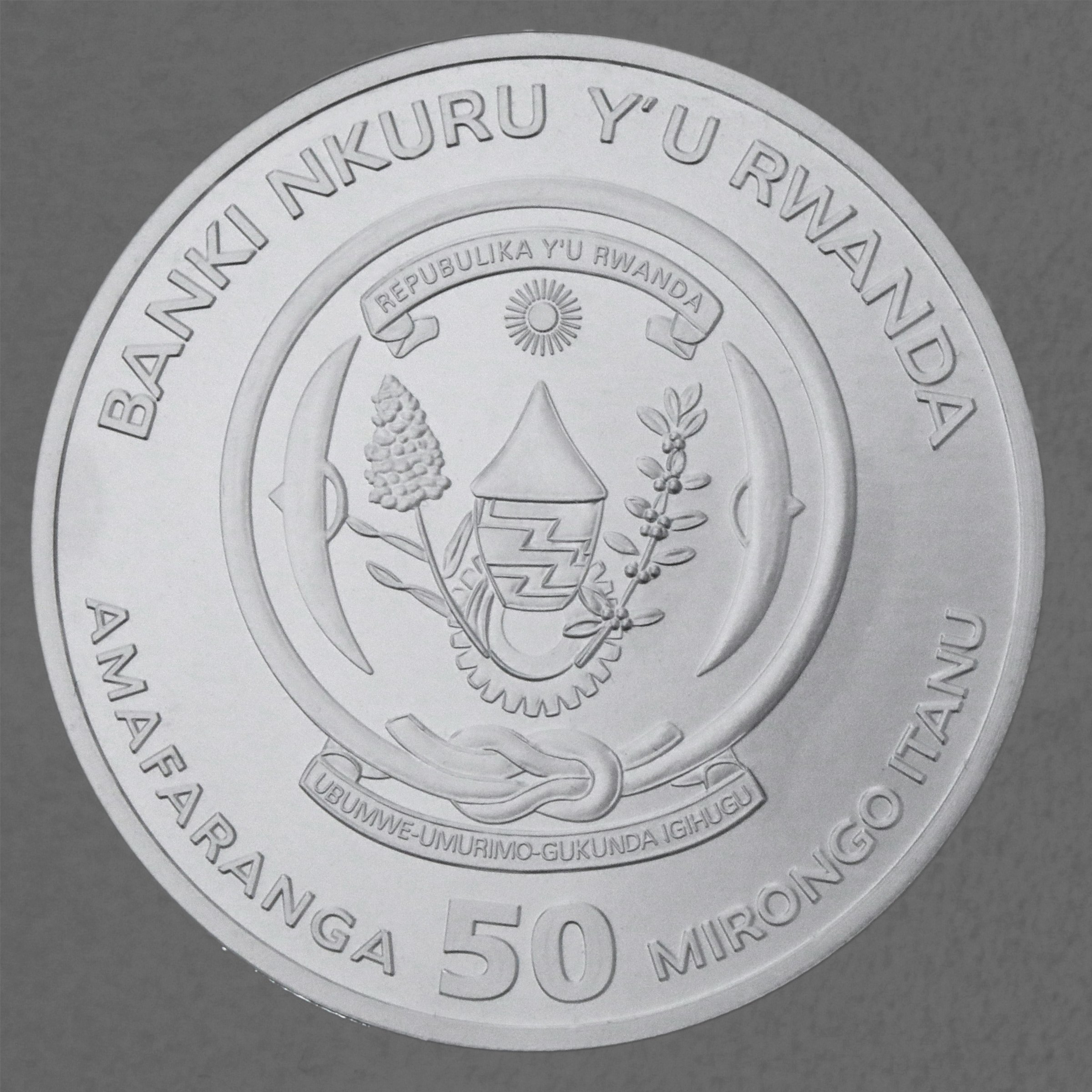Silbermünze 1oz "Nilkrokodil" 2023 African Ounce 19% (Ruanda) - Detailansicht 1