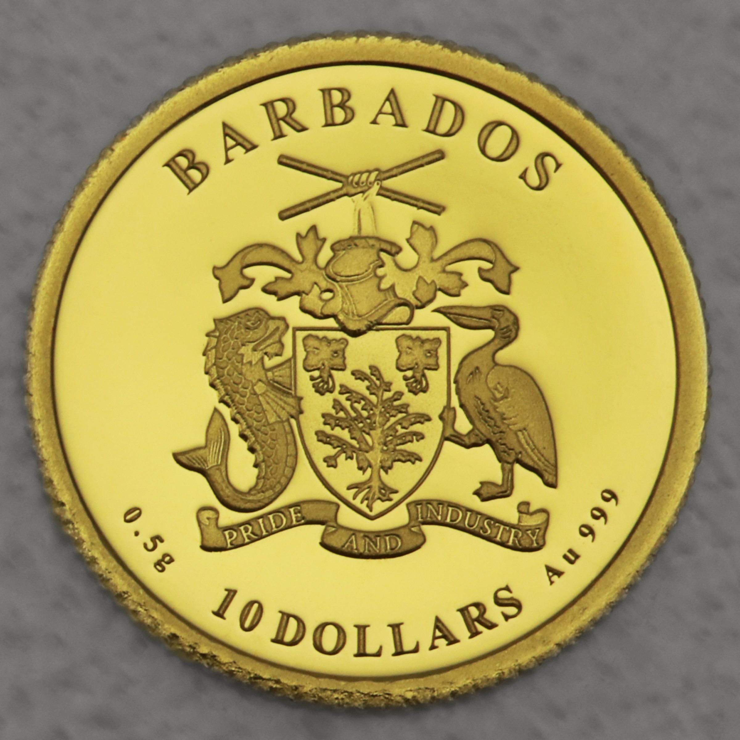 Goldmünze 0,5g "Octopus" 2021 Caribbean Gold (Barbados) - Detailansicht 1