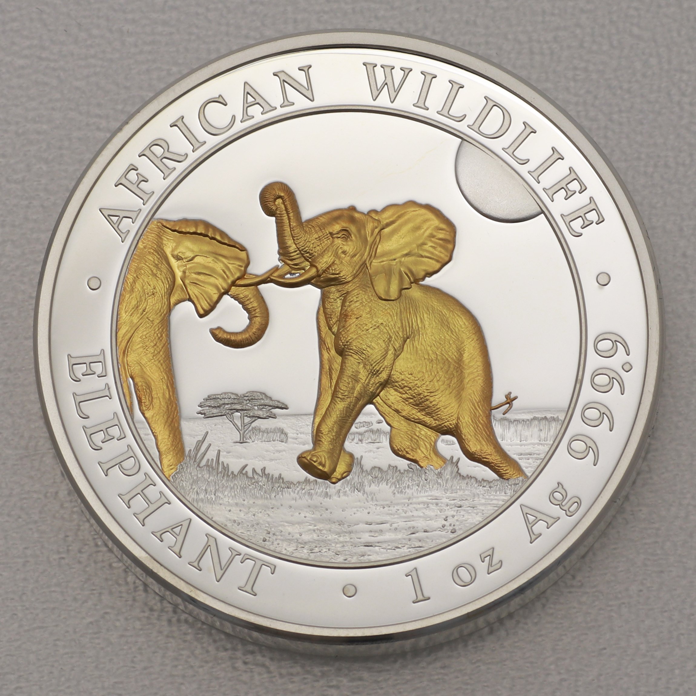 Silbermünze 1oz "Elefant" 2024 (PP/HR/vergoldet) African Wildlife (Somalia) - Hauptansicht
