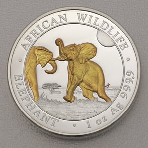 Silbermünze 1oz "Elefant" 2024 (PP/HR/vergoldet) African Wildlife (Somalia) - Hauptansicht