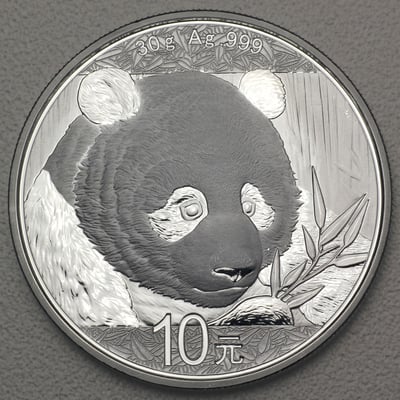 Silbermünze 30g "Panda" 2018 (China) - Hauptansicht