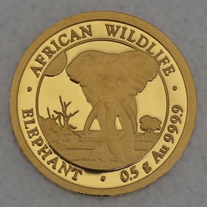 Goldmünze 0,5g "Elefant" 2025 African Wildlife (Somalia) - Hauptansicht