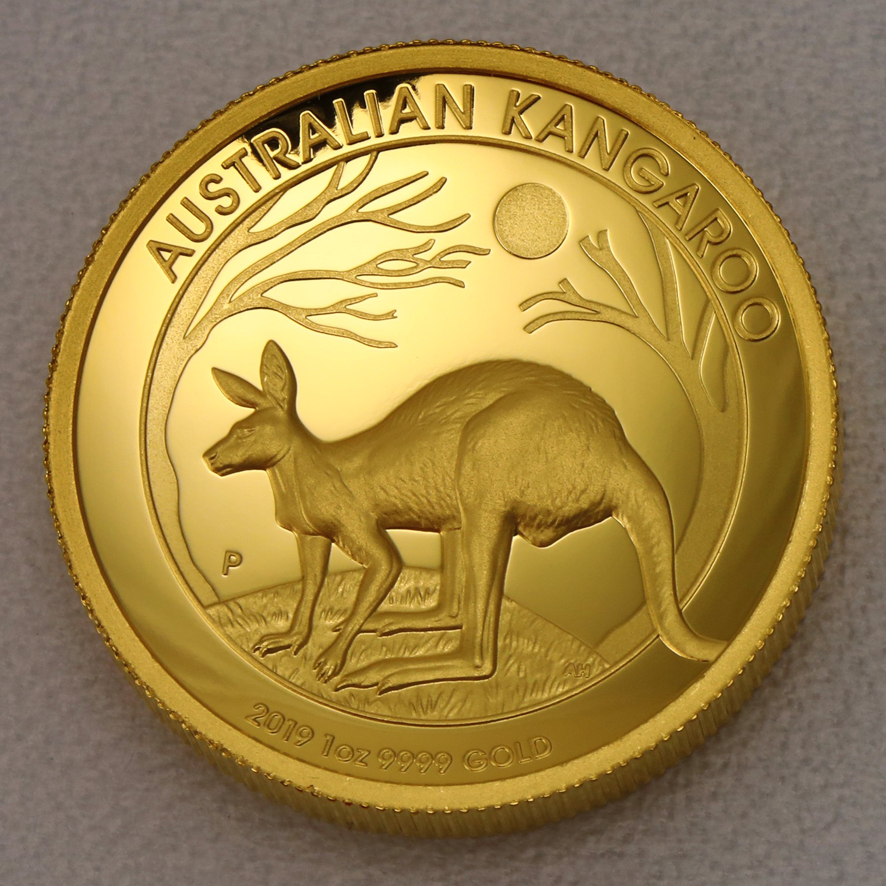 Goldmünze 1oz "Känguru 2019" (PP/HR) (Australien) - Hauptansicht