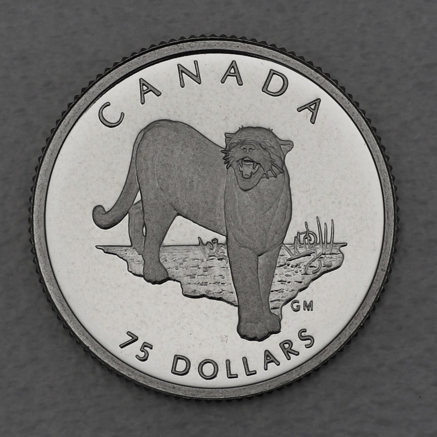 Platinmünze 1/4oz "Puma" 1992 Wildlife Canada (Kanada) - Hauptansicht