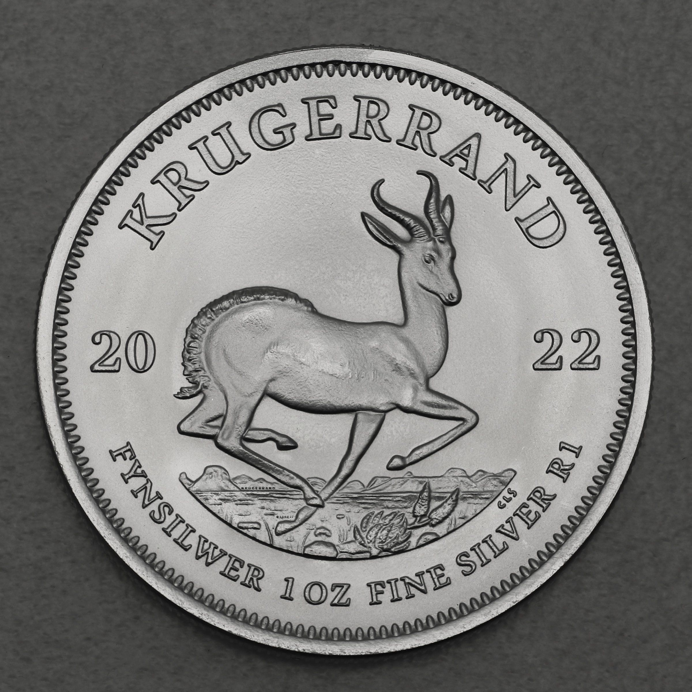 Silbermünze 1oz "Krügerrand" 2022 diff. (Südafrika) - Hauptansicht