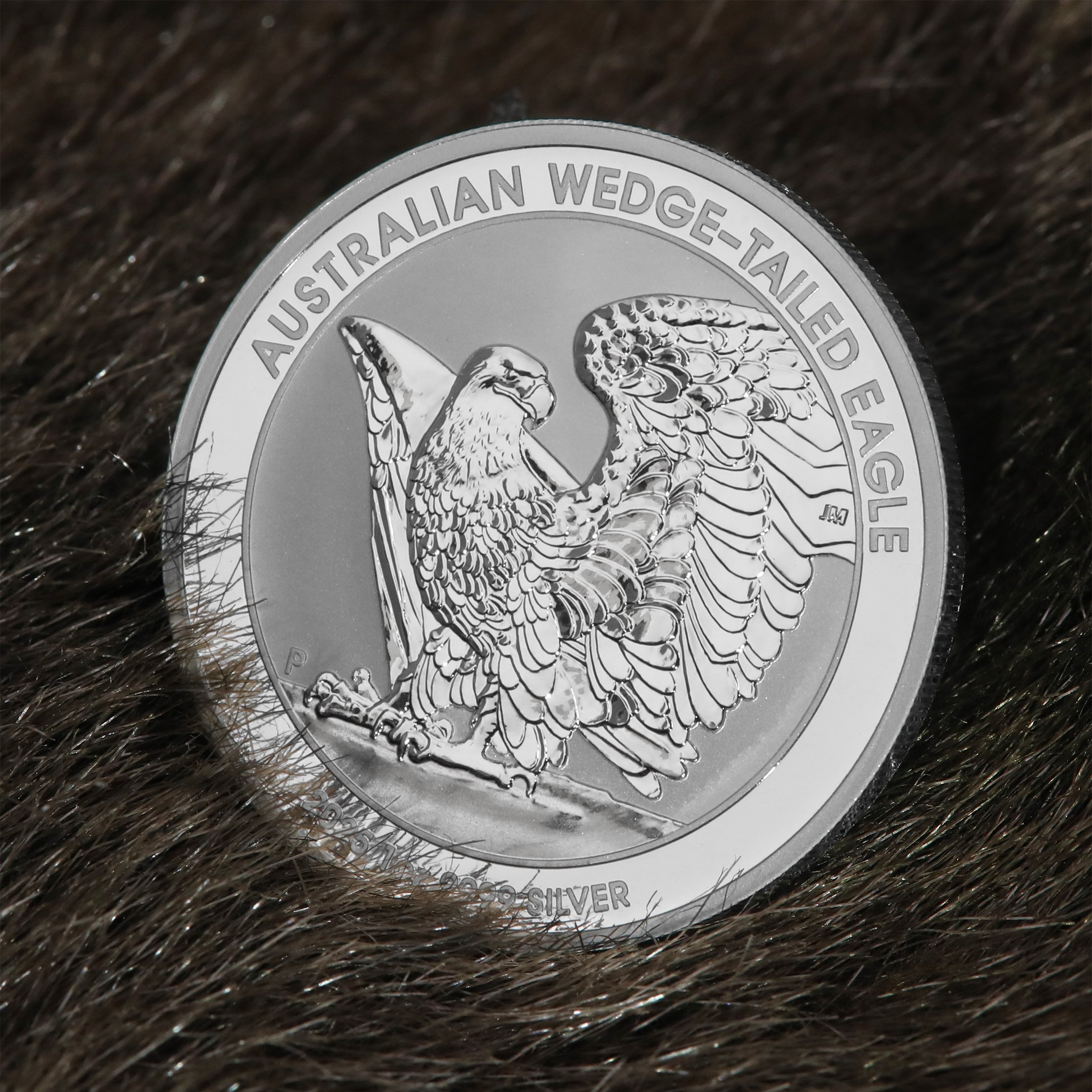 Silbermünze 1oz "Wedge-tailed Eagle" 2025 19% (Australien) - Detailansicht 4