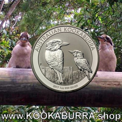 Silbermünze 1oz "Kookaburra" 2017 (Australien) - Miniaturansicht 3
