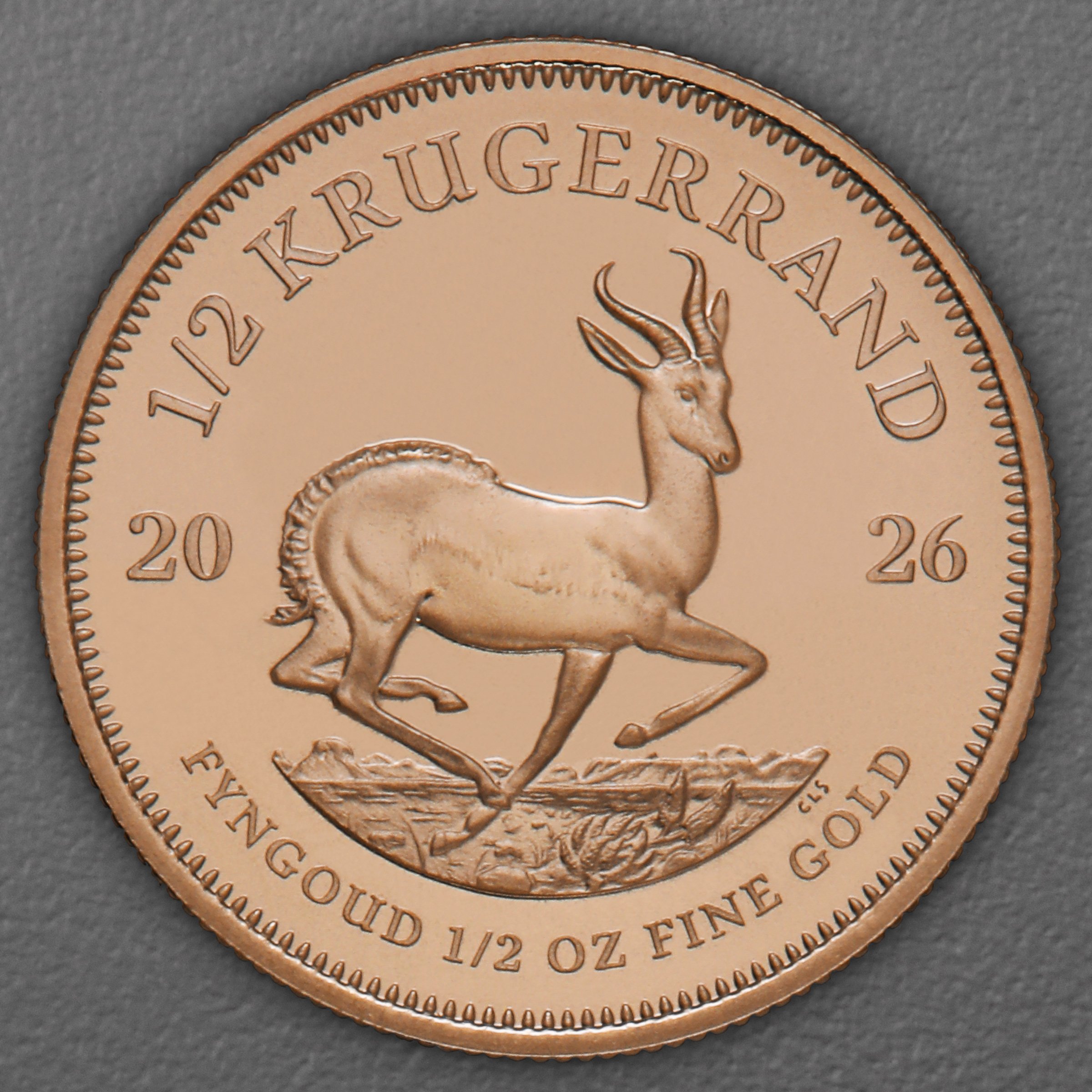 Goldmünze 15 x 1/2oz "Krügerrand" aktueller Jahrgang Tube (Südafrika) - Detailansicht 1