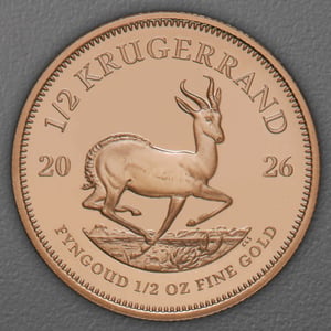 Goldmünze 15 x 1/2oz "Krügerrand" aktueller Jahrgang Tube (Südafrika) - Miniaturansicht 2