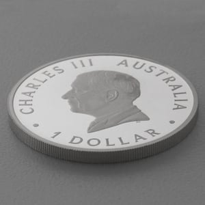 Silbermünze 1oz "Känguru" 2024 (PP) (Australien) - Miniaturansicht 4