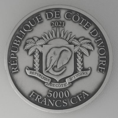 Silbermünze 5oz "Tiger" 2021 (AF/HR) Big Five Asia (Elfenbeinküste) - Miniaturansicht 2