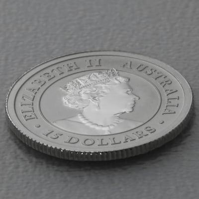 Platinmünze 1/10oz "Kookaburra" 2022 19% (Australien) - Miniaturansicht 4