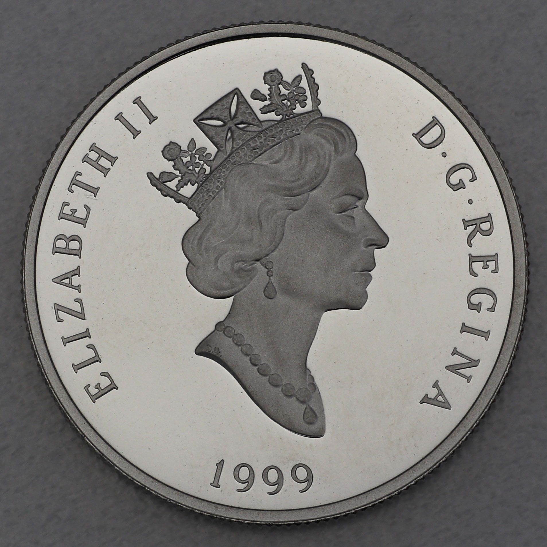 Platinmünze 1/4oz "Muskox" 1999 Wildlife Canada (Kanada) - Detailansicht 1