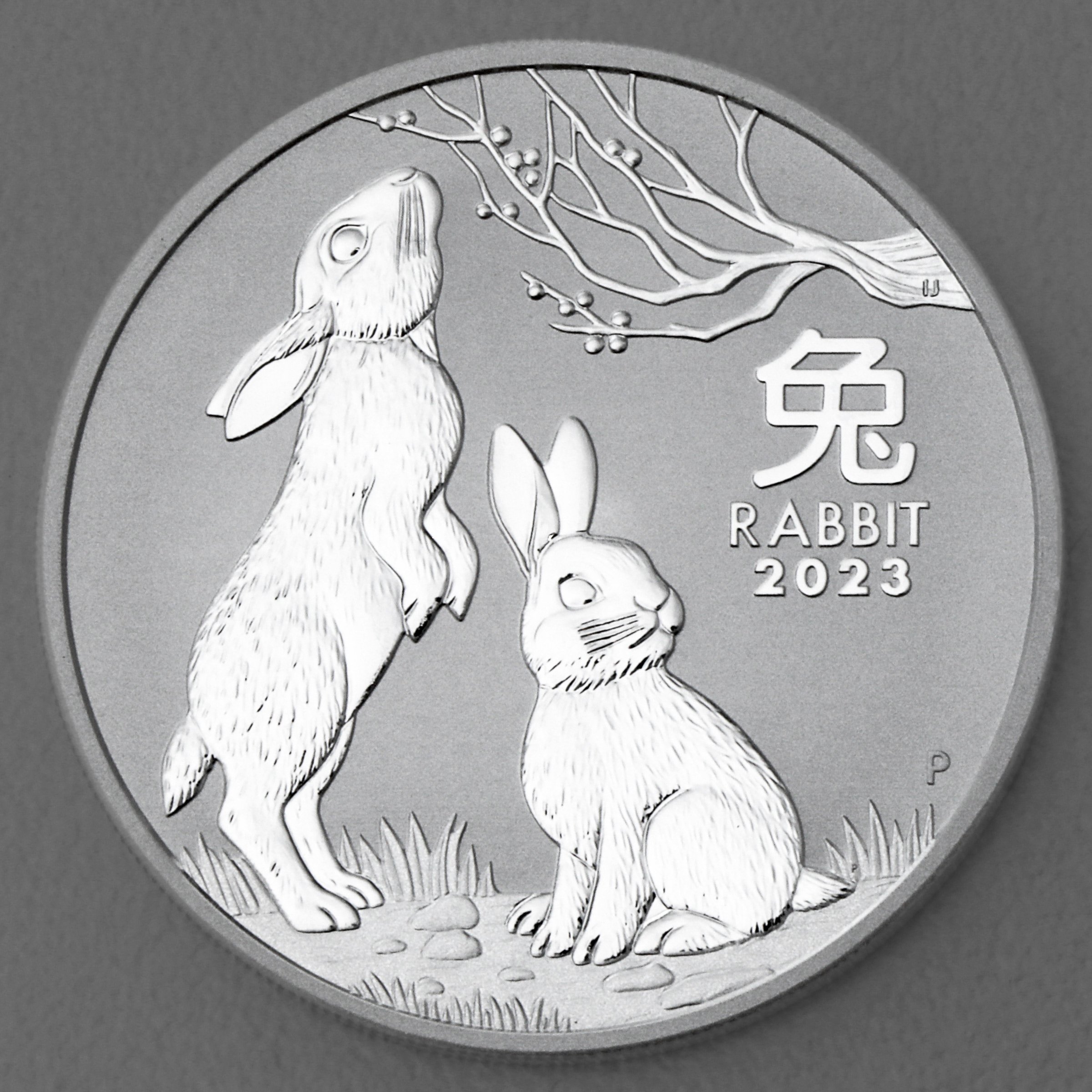 Silbermünze 1oz "Hase" 2023 Lunar III – Year of the Rabbit diff. (Australien) - Hauptansicht