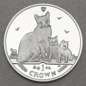 Silbermünze 1oz "Snowshoe Cat" 2014 Cats (Isle of Man) - Miniaturansicht 1