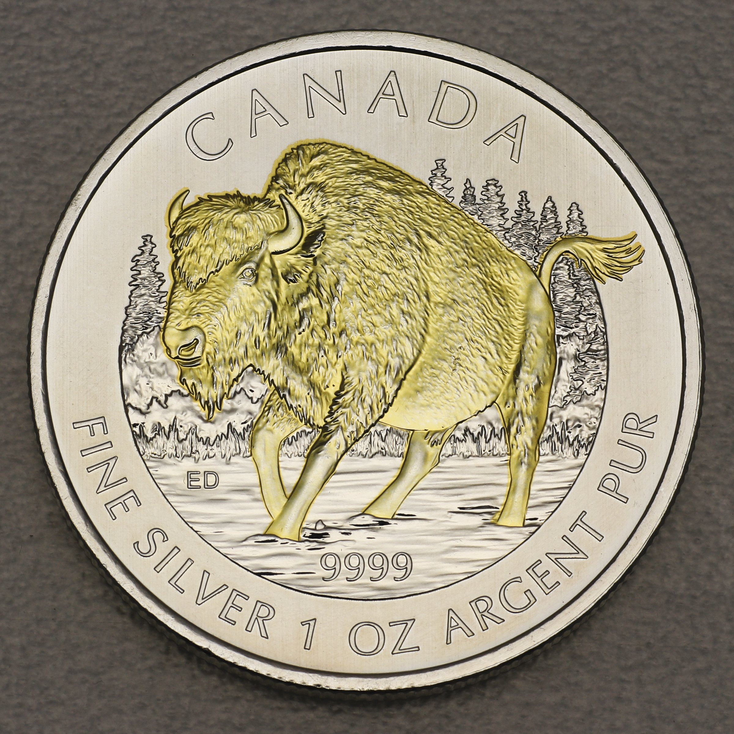 Silbermünze 1oz "Bison" 2013 (vergoldet) Wildlife Canada (Kanada) - Hauptansicht