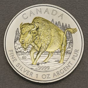Silbermünze 1oz "Bison" 2013 (vergoldet) Wildlife Canada (Kanada) - Miniaturansicht 1